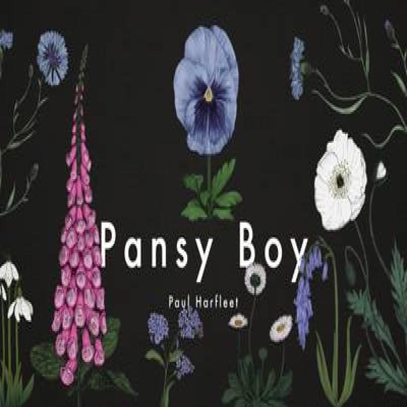 Pansy Boy by Paul Harfleet Hardback Book 9781909954243