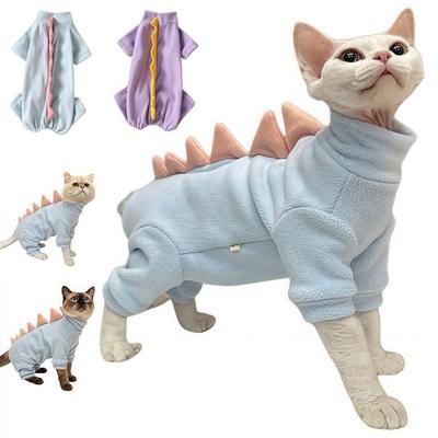 Kedi – Kediler için giyim