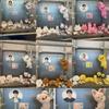Straykids POP UP Doll SKZOO Plush Bag SKZ  Hyunjin Bangchan Leeknow Han Felix Seungmin I.N Changbin