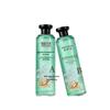Douyin Best-Selling Plant-Based Transparent Hair Dye Cream with Essential Oils