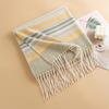 Japanese and Korean Colored Striped Imitation Cashmere Tassel Scarf for Women High End Contrast Color Versatile Thickened Warm Scarf