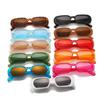 Trendy Small Frame Sunglasses, Jelly Oval Small Frame Sunglasses For Women