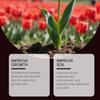 Yegbong soil activator, improve loose soil, supplement plant nutrients, household gardening planting curing agent 120g