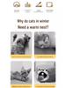 Cozy Winter Nest: Warming Bed for Cats & Small Dogs