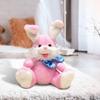 Bunny Plush Toy with Electronic Features, for Kids' And Education