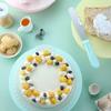Zhaoran Cake Decorating Turntable