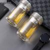 Elegant 230ML Double-Layer Borosilicate Glass Tea Cup with Infuser