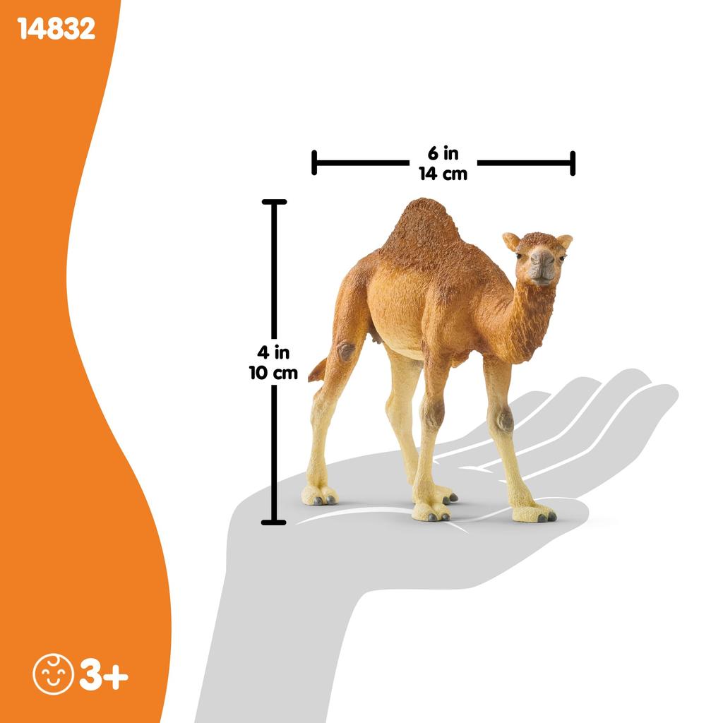 Schleich Wildlife Dromedary Figure 14832