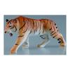 Ania AS-30 Tiger (Wild Ver.)