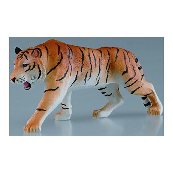 Ania AS-30 Tiger (Wild Ver.)