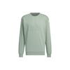 Lounge Sweatshirts Men's Dusty Green Crew Neck Moderate Regular IK2796