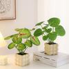 Nordic Indoor Desktop Bonsai: Artificial Green Plants for Office Decoration