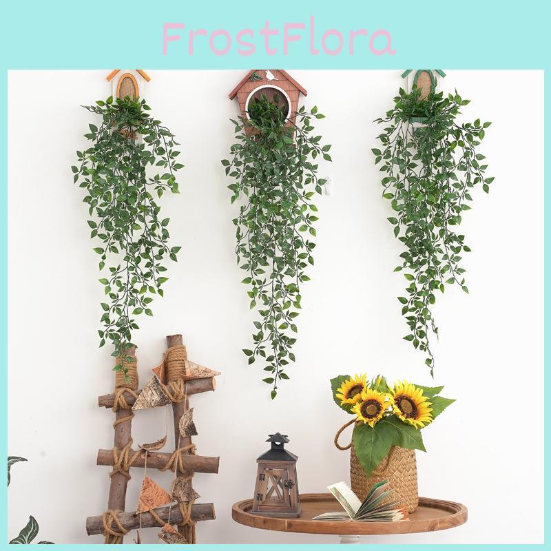 Aureum Pflanze Epipremnum Wandbehang Langlebiges Material Innendekor