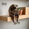 Literarischer Stil Raumdekoration Lese-Frosch Figur, Buchstützen für Bücherregal Dekoration, Harz Ornament Exquisites Geburtstagsgeschenk Freunde Zuhause Büro Arbeitszimmer