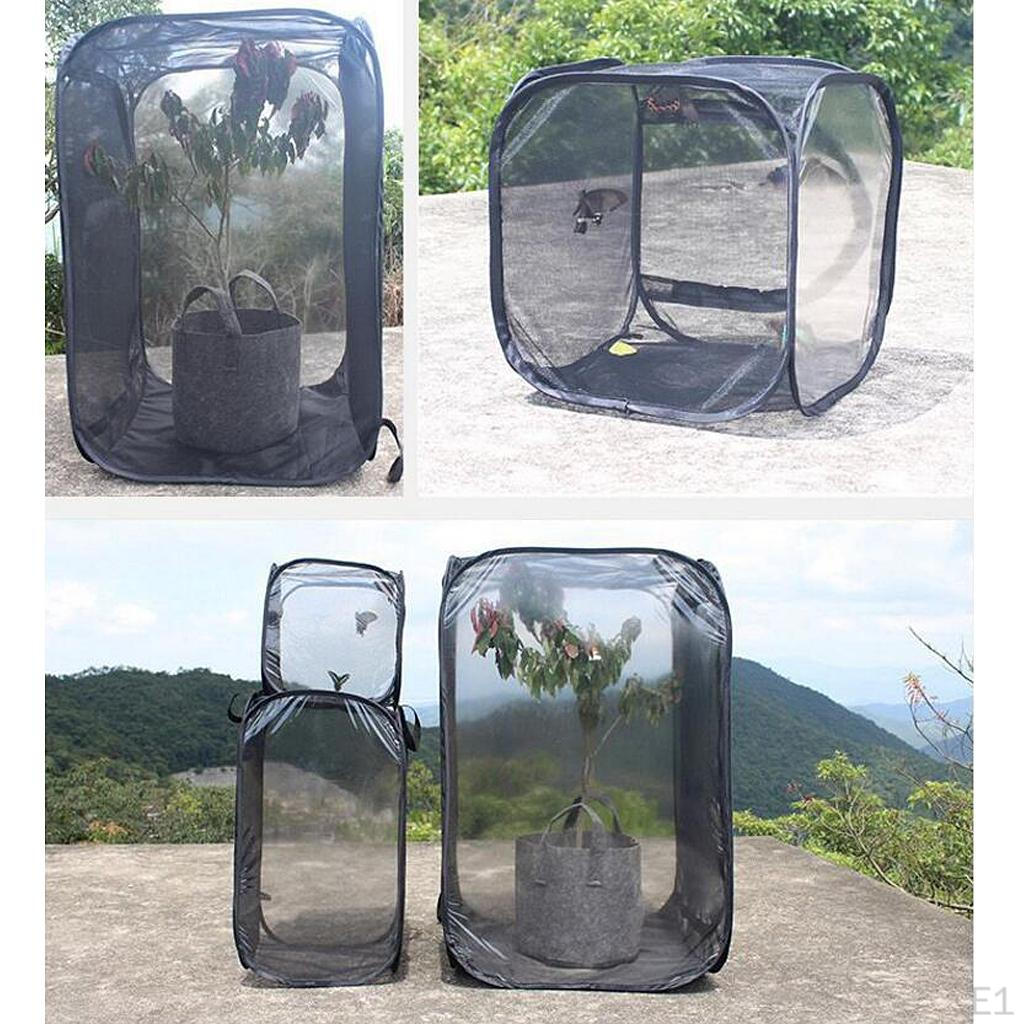 & Butterfly Portable Habitat Terrarium Collapsible Butterflies Mesh Cage