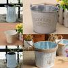 Vintage Metal Tin Flower Bucket Plants Herb Pot Tabletop Vases Container Watering Can with Handle Home Garden Hanging Decor