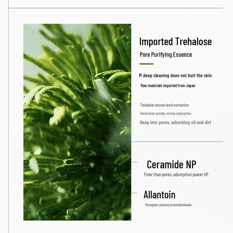 Tong Ren Tang Purifying Peel-off Mask 100g