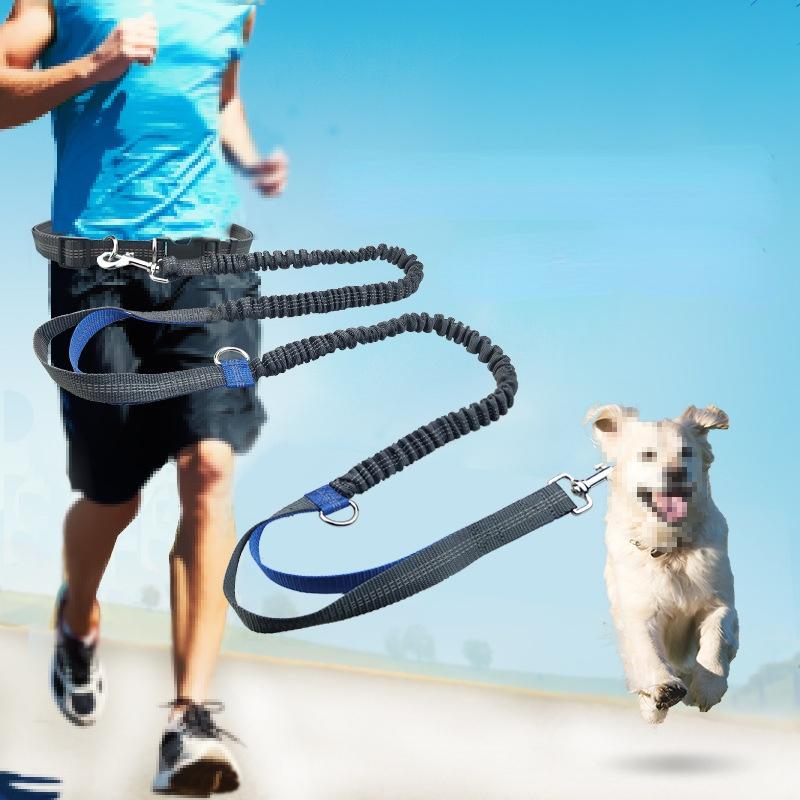 double retractable leash