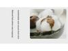 Men's Summer Casual Short-Sleeve Comfortable Loose-Fit Shirt - Versatile Fresh Workwear 706