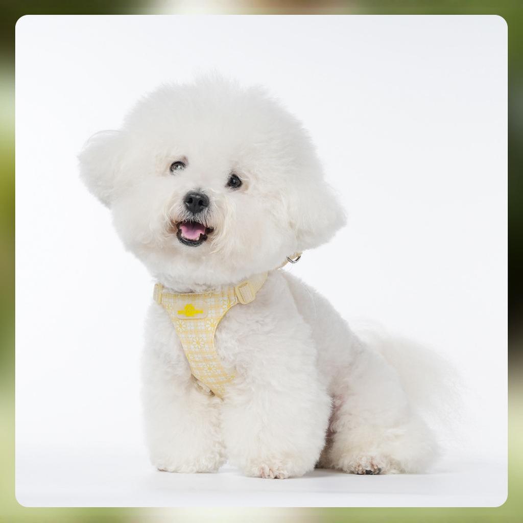 & Co. The Simply No-Pull Dog - Size Small - Vest to Stop Pulling & Walk Easy - Comfortable Leash Training Product w