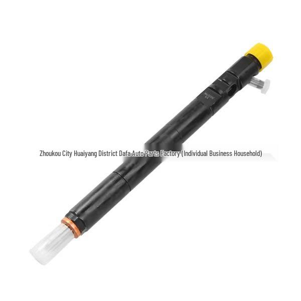 Delphi EJBR02701Z Injector: Compatible with Renault Delphi Common Rail Systems.