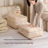 Compressible Quilt and Clothing Storage Bag