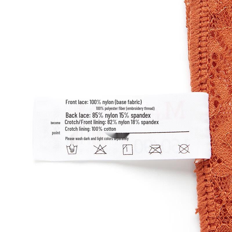 Maniform Women's Sexy Lace Low-Rise Briefs