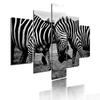 Minimalist Animals Poster Lion Leopard Orangutan And Elephant Canvas Painting 5 Pieces Modular Picture Print Wall Art Home Decor