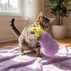 Eggplant Shaped Squeaky Dog Toys Adorable Interactive Cat Toys Cat Teaser Toy  Entertainment