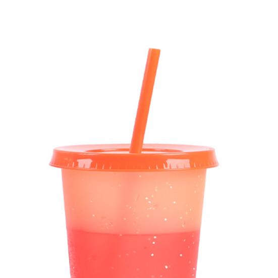 720ML Water Bottle Temperature Sensor Food Grade PP DIY Craft Color Changing Straw Water Tumbler