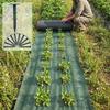 Instrumente de grădinărit – Instrumente pentru lupta împotriva buruienilor