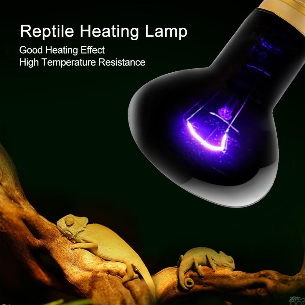 E26 Base Heating Light Bulb High Temperature Resistance Night Light Bulb Amphibian Heat Lamp Pet