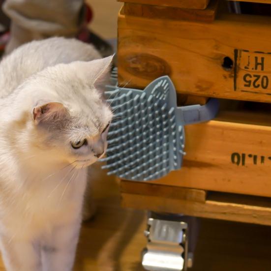 Corner Pet Brush Massage Rubbing Board Multifunctional Silicone Self Grooming Comb Cat Scratcher