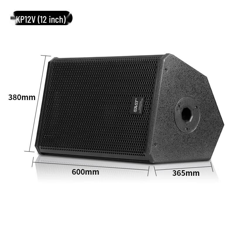 SAST KP12V 12-inch Professional Passive Stage Speakers (Pair)