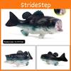 Lateolabrax Japonicus Marine Animal Model With Realistic Appearance For Kids Learning