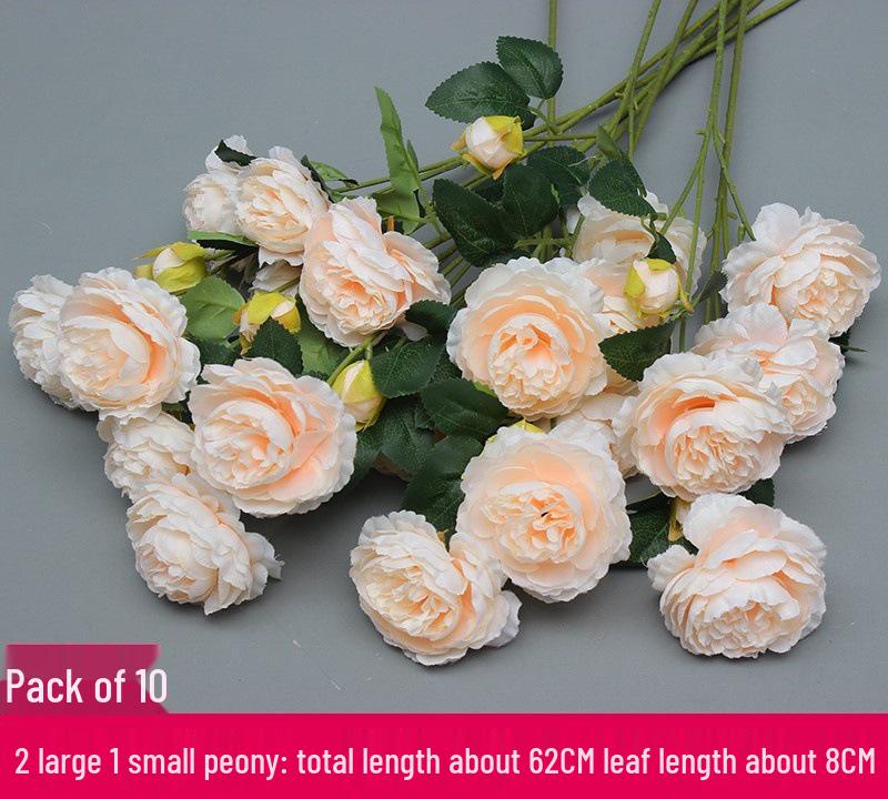 Champagne Silk Flower Wedding Decor - Artificial Ceiling & Aisle Floristry Elements