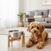 Wooden Stand Stainless Steel Dog Bowl Rust-proof Elevated Cat Food Bowl Thickened Double Layer Pet Feeder Pet Supplies