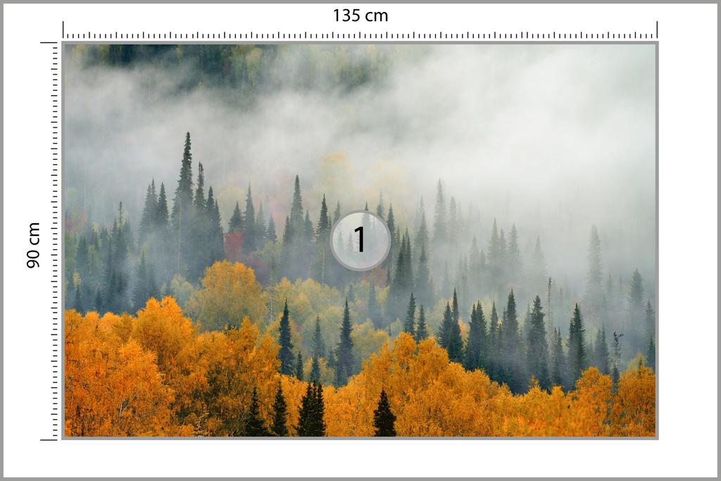 Photomural Fog Over Autumn Forest Structural Vinyl 135x90
