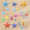Multipurpose Silicone Craft Mold with Starfish Shell Design Perfect for Candle Soap Resin Art Craft Enthusiasts