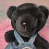 [USED] TRUDY/Trudy DANA Teddy Bear Plush Toy