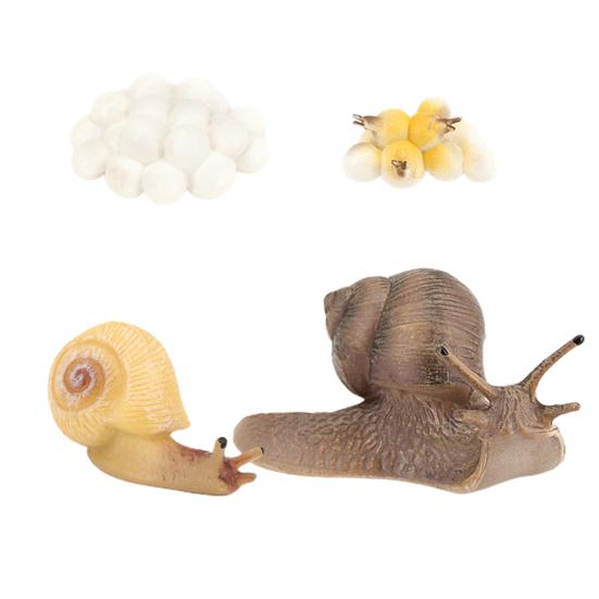 Simulation Insect Model Butterfly Growth Cycle Figurine Kids Educational Toy