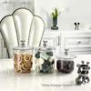 Silver Bear Airtight Food Storage Jars - Moisture-Proof for Kitchen Grains & Dried Goods