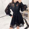 2020 New Spring Self Portrait Runway Dress Hollow Lantern Sleeves Embroidered Lace Party Dress