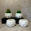 4 Pieces Mini Spherical Flower Pot Succulent Pot Desktop Ornament Plastic Planter Home Decor Plant Pot