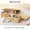 Iris Ohyama Cardboard Storage Case, Organizer, Small Item Storage Case, Paper Box, Craft, Cardboard, Set of 2, DB-700, White