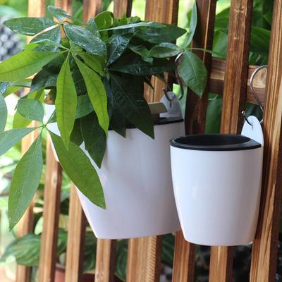Wall-Mounted Indoor Automatic Water-Absorbing Flowerpot Plastic Flowerpot Succulent Green Dill Green Plant Flower Pot Decor