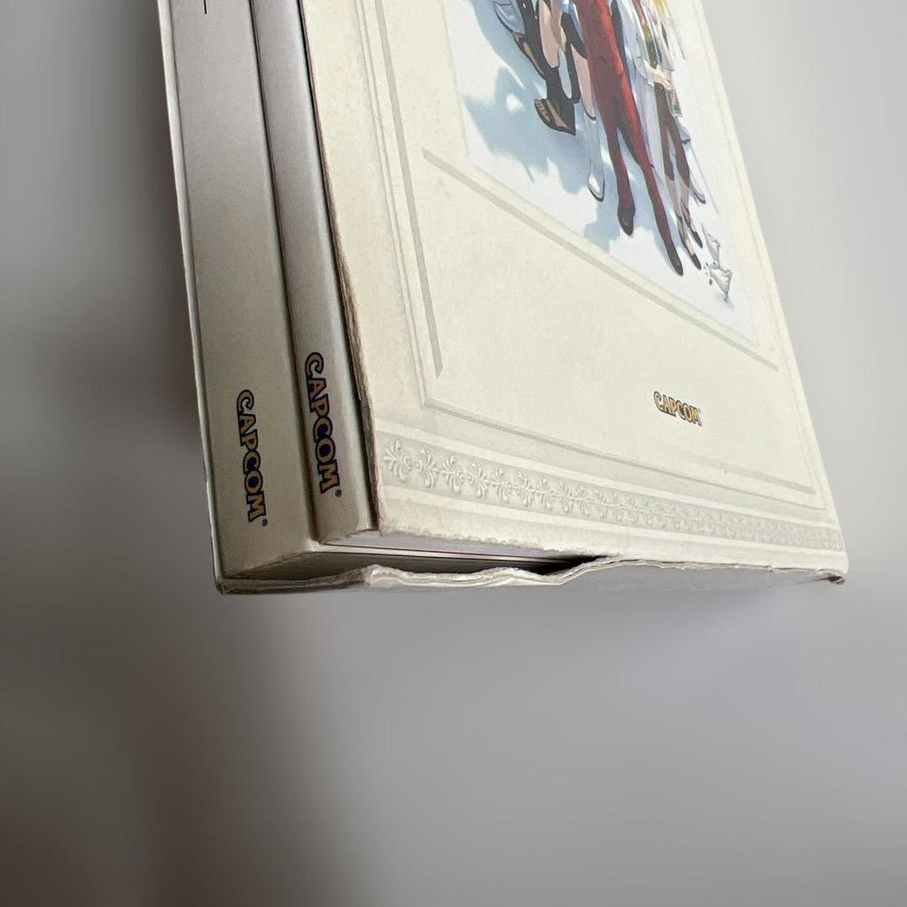 [USED] Game "Ace Attorney" Art Book Capcom Official Books Naruhodō Edition and Odoriki Edition 2 Volumes