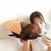48cm Creative Simulated Insect Doll Plush Toy Stuffed Animal Soft Cicada Pillow Gifts for Boys Children Friends Prank Toys Decor
