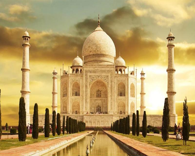 5D DIY Diamond Painting Fish Woman Flower Picture of Rhinestone Full Square Diamond Embroidery Dragon Unicorn Black Horse Animal Craft Kit Home Decor