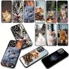 Blue Cat Green Eyes Meow Phone Cover for Samsung Galaxy A36 A17 A26 A07 A35 A54 A53 A13 A33 A34 S8 S9 S20 S21 FE S10 Plus Case